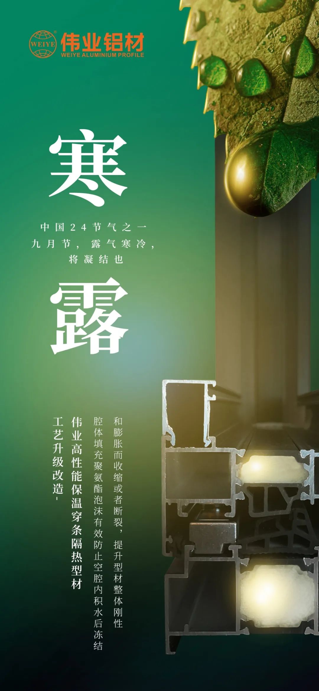 #寒露 九月节，，，，，露气严寒，，，，，将凝聚也 时光入深秋，，，，，岁月便深情